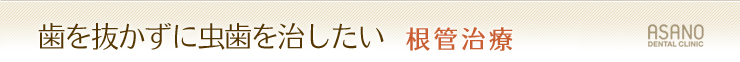 歯を抜かずに虫歯を治したい　根幹治療